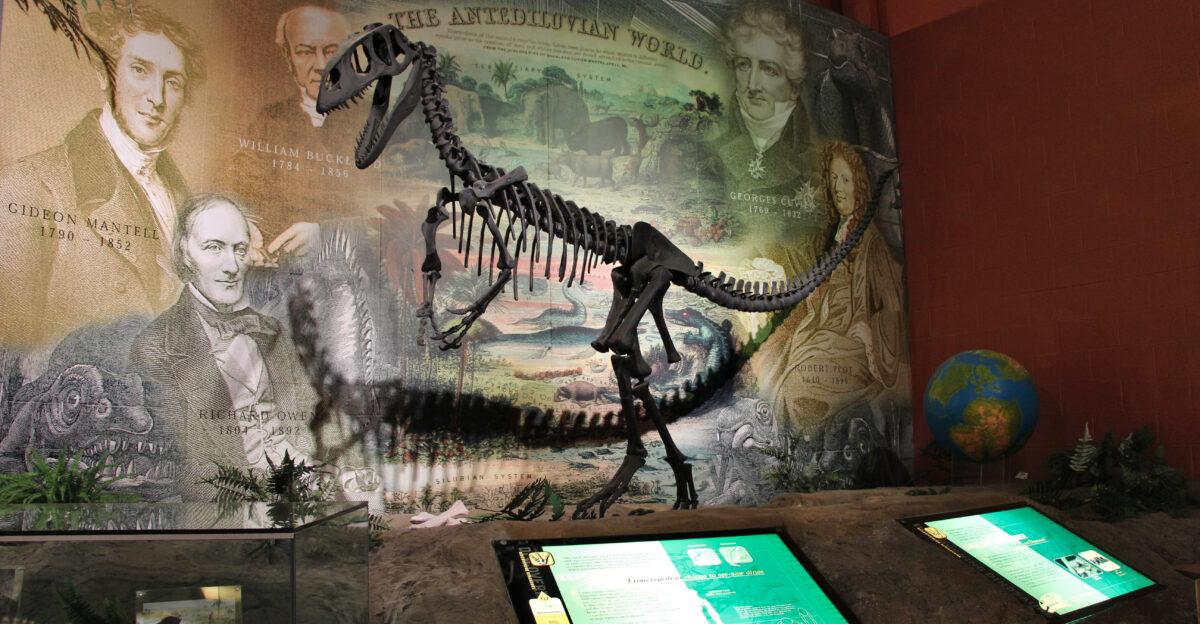 History of dinosaur plaeontology