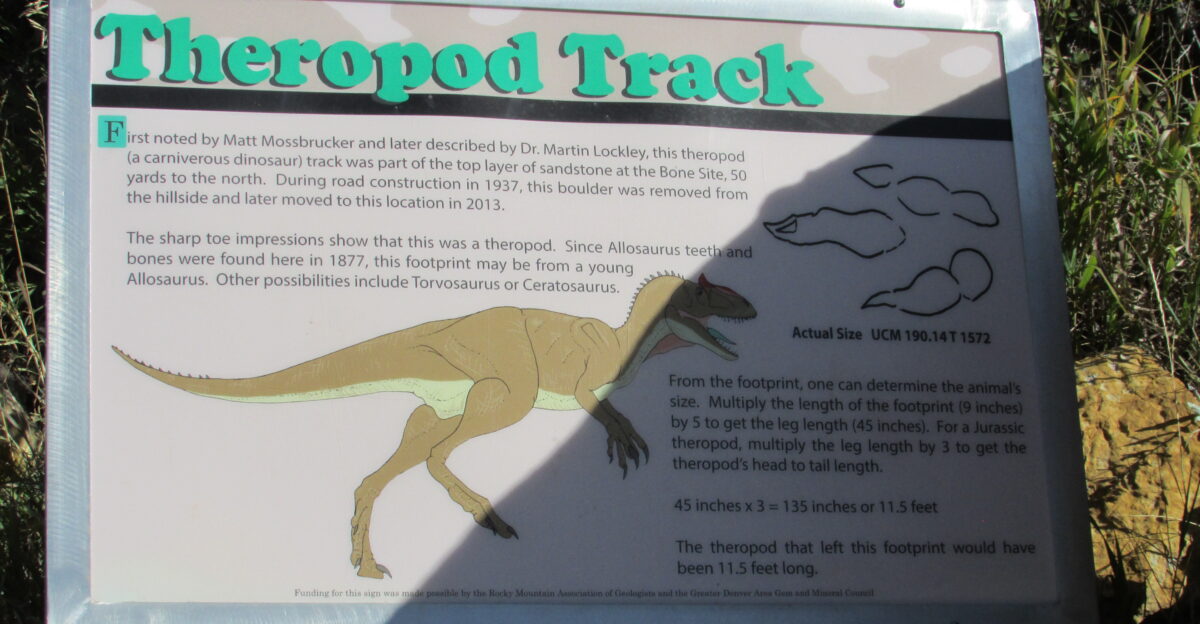 Theropod Track - The sharp toe impressions show that this was a theropod