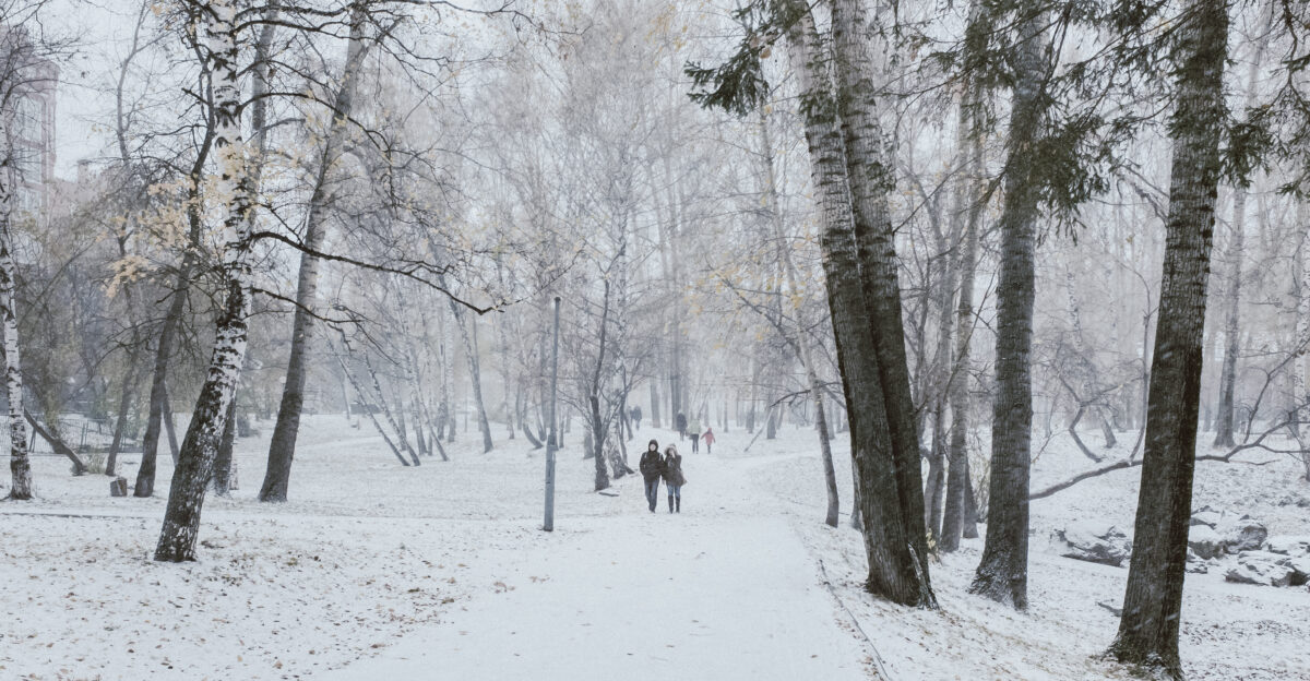 First snowstorm of the year People taking a walk through city park The day before there was no snow to be seen on the ground First snowfall coincided with a mild snowstorm Tomsk Russia Year 2014 mid-autumn