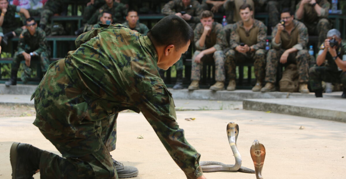A Thai military instructor known as The Snake Man demonstrates how to approach and catch a cobra using only his hands during a jungle survival training course for U S Korean and Thai Marines Feb 12 2015 at Camp Lotawin Kingdom of Thailand The course is part of training for exercise Cobra Gold 2015 an annual exercise designed to improve multinational operability in preparation for response to regional crises U S Marine Corps photo by Cpl Joshua Murray