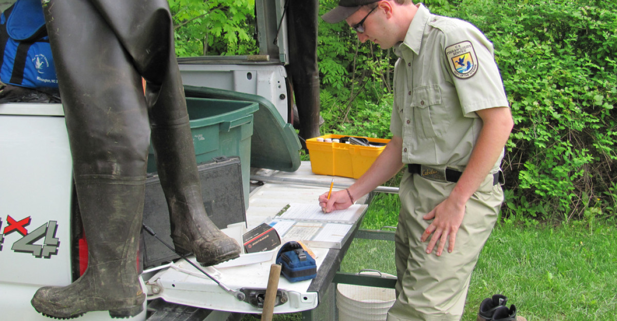 U S Fish and Wildlife Service